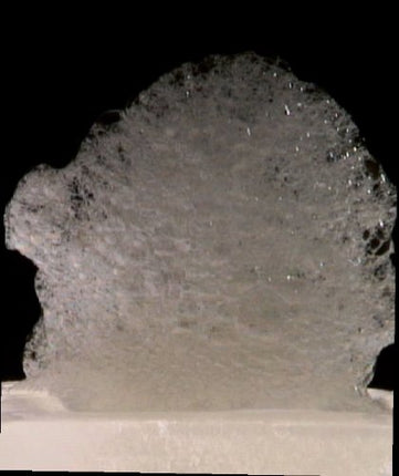 Lecīts (lecitīns), Texturas Ferran Adrià, E 322, 300g AROMABOX