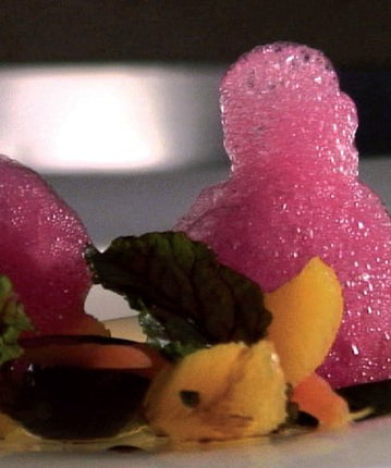 Lecīts (lecitīns), Texturas Ferran Adrià, E 322, 300g AROMABOX