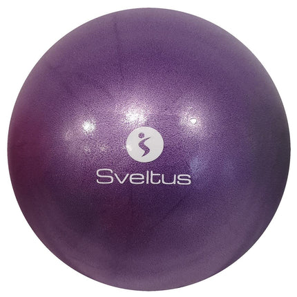 Sveltus izglītojošā bumba, violeta, 25 cm