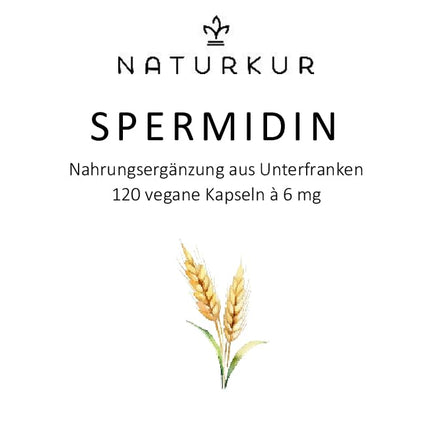 Naturkur® Spermidine 6mg - 120 kapsulas farmaceita stikla burciņā - kviešu dīgļu ekstrakts, vegāns, bez piedevām, roku darbs Lejasfranconijā