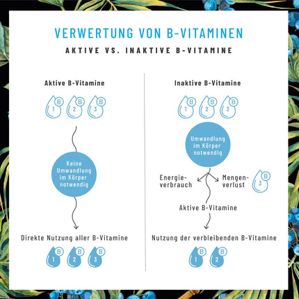 B vitamīnu komplekss (B1-B12) ar 3 aktīviem kofaktoriem - Visi 8 B vitamīni - Vegānu B vitamīnu komplekss - Augstas devas B vitamīnu komplekss ar kofaktoriem - Nervus stiprina *