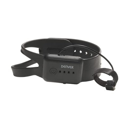 Denveras drons DRO-170