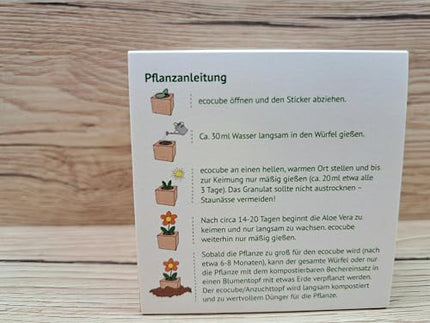 Feel Green 296244 Ecocube Aloe Vera, ilgtspējīga dāvanu ideja (100% videi draudzīga), audzē pats/audzēšanas komplekts, augi koka kubā, ražots Austrijā