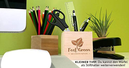 Feel Green 296244 Ecocube Aloe Vera, ilgtspējīga dāvanu ideja (100% videi draudzīga), audzē pats/audzēšanas komplekts, augi koka kubā, ražots Austrijā