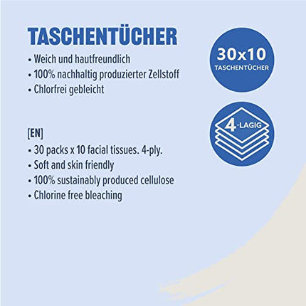 Amazon Tissues 4 slāņu, 300 gab. (30 iepakojumi pa 10 gab.)