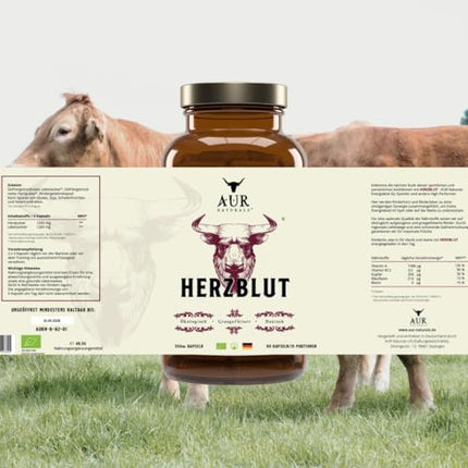 HERZBLUT (90 kapsulas) - spēcīga sinerģija sportistiem no Beefheart &amp; Beefliver; enerģijas iegūšanai; Veiktspēja; asins veidošanās; dzelzs vielmaiņa; 100% vācu, dabīgs un bioloģisks