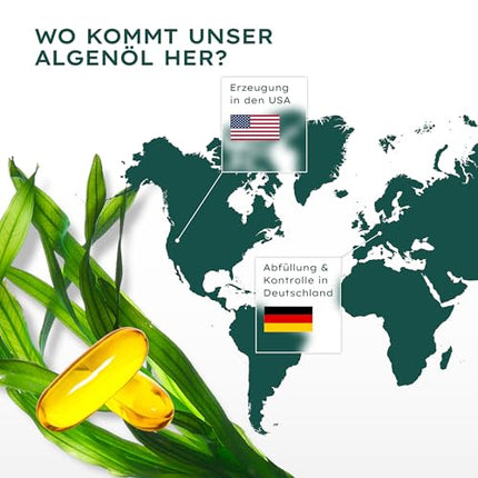 Vegānu Omega 3 no aļģu eļļas | 120 lielas devas kapsulas 4 mēnešiem | Viena kapsula dienā | laboratoriski pārbaudīta tīrība