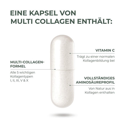 Primal Harvest ® Multi-Collagen - 120 kolagēna kapsulas ar augstu devu - augstākās kvalitātes kolagēna komplekss - GMP sertificēts un ražots Vācijā - bez glutēna un sojas