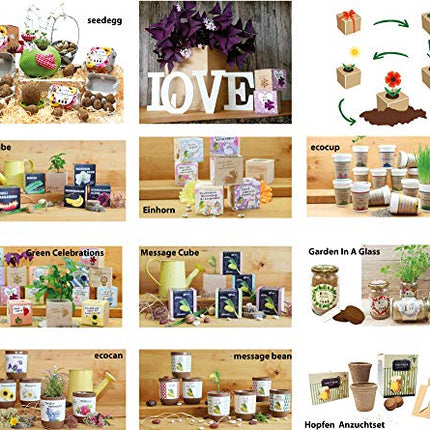 Feel Green 296244 Ecocube Aloe Vera, ilgtspējīga dāvanu ideja (100% videi draudzīga), audzē pats/audzēšanas komplekts, augi koka kubā, ražots Austrijā
