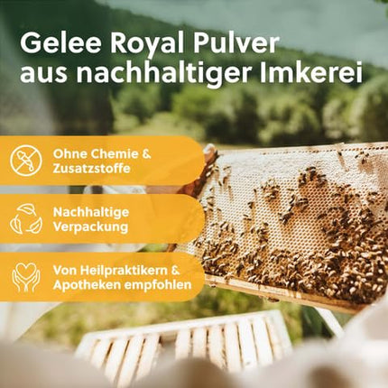 beegut ORGANISKĀS peru pieniņa kapsulas, 60 kapsulas, katra satur 170 mg pulvera = 500 mg tīra peru pieniņa, ilgtspējīgs iepakojums