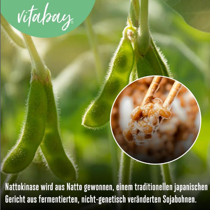 Vitabay Nattokināzes kapsulas ar augstu devu 20 000 FU - liposomālas un vegānas - 180 Nattokināzes kapsulas - enzīms Natto fermentētās sojas pupiņās - Nattokināzes tabletes ar augstu devu Natokināze L