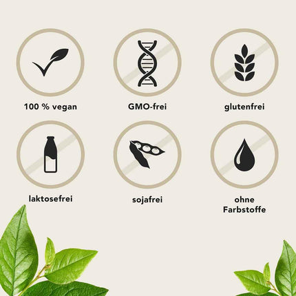 Aura Natura Fermentura Doloferm - ar PEA (palmitoiletiololamīdu), PQQ, MSM, mežrozīšu ekstraktu un fermentētu kurkumu | Atbalsta muskuļu, locītavu un muguras labsajūtu | 60 kapsulas
