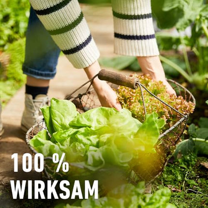 COMPO gliemežu atbaidīšanas līdzeklis - pret gliemežiem - lietus necaurlaidīgs - granulas pret gliemežiem izdevīgā iepakojumā - pietiekams līdz 1800 m² - 4 x 225 g, bez gliemežiem