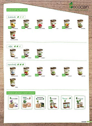Feel Green Eco-can, Lucky Clover, ilgtspējīga dāvanu ideja (100% videi draudzīga), Izaudzē pats/Audzēšanas komplekts, Audzēšanas eko-can, Ražots Austrijā