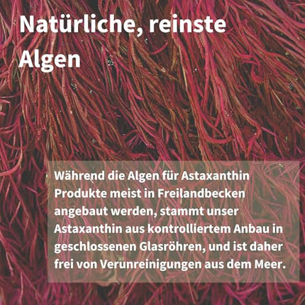Astaksantīna komplekss, vegāniski un dabiski antioksidanti no 42 mg AstaPure, ar 4 mg astaksantīna + luteīnu un zeaksantīnu, 90 mīkstās kapsulas, ražotājs Igennus