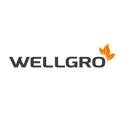 WELLGRO mini siltumnīca ar 6 augu etiķetēm — līdz 12 augiem — apm. 19x14,5x11 cm uz iekštelpu siltumnīcu, plastmasa/celuloze - daudzumu var izvēlēties, daudzums: 3 gabali