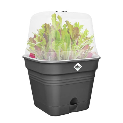 elho Green Basics audzēšanas pods kvadrātveida viss vienā 15 - puķupods audzēšanai - 100% pārstrādāta plastmasa - Ø 15,0 x A 12,1 cm - melns/dzīvi melns