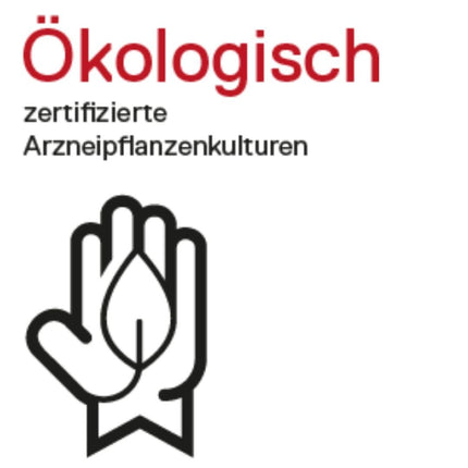 DHU Arnica D12 izkliedes lodītes, 10 g globulas