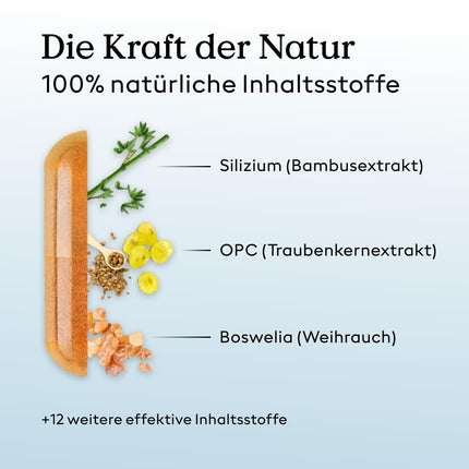 Veselības rutīna Arthro Complete — 180 kapsulas — kurkumīns, bosvelīnskābe, glikozamīns, hondroitīns kapsulas — vitamīni, minerālvielas, augu ekstrakti