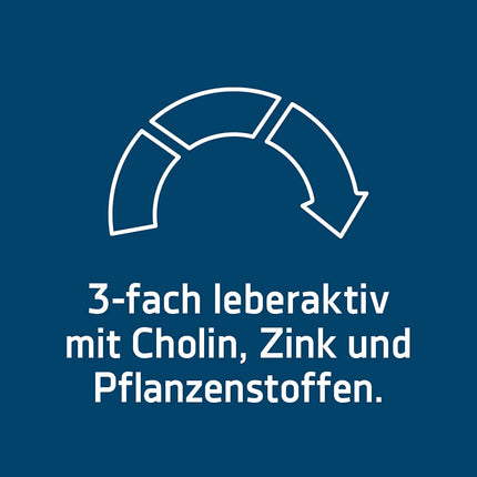 SYXYL Basosyx Hepa tabletes/Uztura bagātinātājs ar holīnu normālas aknu darbības uzturēšanai un cinku skābju-bāzes līdzsvaram/140 tabletes blisteriepakojumā