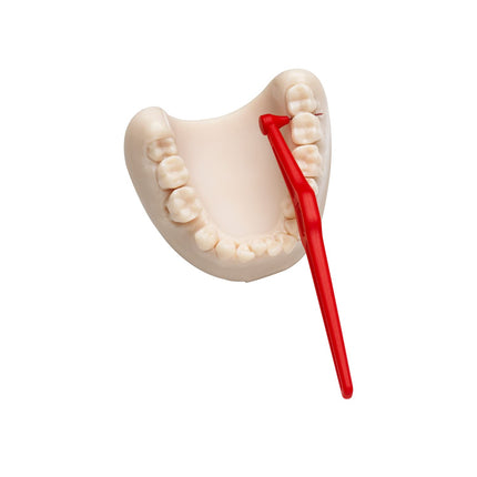 TEPE leņķa starpzobu birstes, sarkanas (ISO izmērs 2: 0,5 mm) / Kontrolēta starpzobu tīrīšana pat grūti sasniedzamās vietās / 1 x 6 leņķa starpzobu birstes