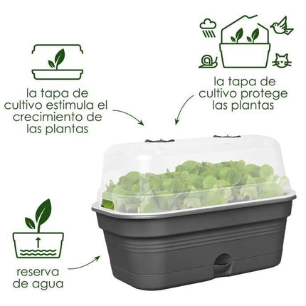 elho Green Basics audzēšanas paplāte "Viss 1" 32 - audzēšanas komplekts - 100% pārstrādāta plastmasa - Ø 32,0 x A 13,2 cm - zaļa/lapu zaļa