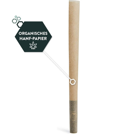 6x Granny's® jaunās organiskās, plānās, garās papīrītes, kas izgatavotas no kaņepēm | 108 x 45 mm | 36 nebalinātas loksnes | King izmēra | bioloģiskās kaņepes