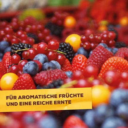 Solabiol ogu un augļu mēslojums, īpašs mēslojums ar tūlītēju un ilgtermiņa iedarbību visiem ogulājiem, sēkleņiem un kauleņaugiem 1,5 kg