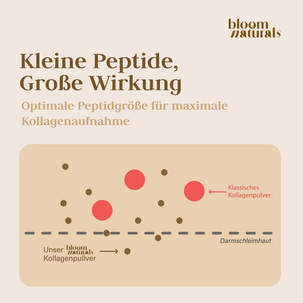 Kolagēna pulveris 1500 g (1,5 kg) - augstas devas un bezgaršīgs kolagēna hidrolizāta pulveris, 1. un 3. tipa peptīds - kolagēna peptīdi - ražots Vācijā XXL uzglabāšanas iepakojums