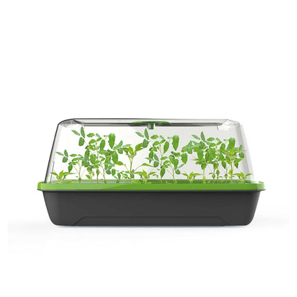 Romberg BoQube M | Iekštelpu siltumnīca ar ventilāciju | Ielešanas atvere | optimāls mikroklimats un vieta 18 uzbriestošām tabletēm | 37 x 19 x 18 cm | antracīts