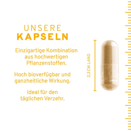 InnoNature Metabolism Plus kapsulas | pagatavots no sparģeļiem, ābolu sidra etiķa, zaļajām auzām, mežrozītēm, mango un rūgtās melones | 120 kapsulas, ieskaitot C vitamīnu no mežrozīšu ekstrakta, 80 mg
