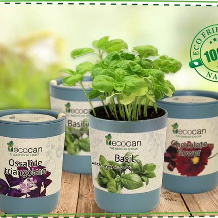 Feel Green Eco-can, Lucky Clover, ilgtspējīga dāvanu ideja (100% videi draudzīga), Izaudzē pats/Audzēšanas komplekts, Audzēšanas eko-can, Ražots Austrijā