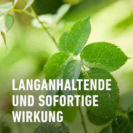 Compo Duaxo Universal Fungus-free AF, apkaro sēnīšu slimības dekoratīvajiem augiem, dārzeņiem un garšaugiem, gatavs lietošanai, 750 ml