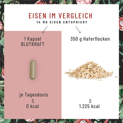 Dzelzs komplekss ar C vitamīnu un fenheli vegāns - 120 kapsulas - vegānas dzelzs tabletes kapsulu veidā, vieglāk norijamas - bez piedevām, laboratoriski pārbaudītas