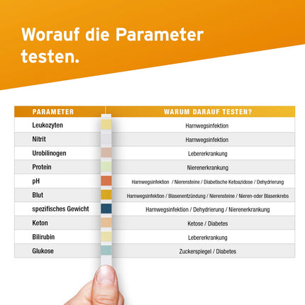 100 x Aydmed urīna analīzes testa strēmeles 10 parametru urīna testa strēmeles leikocītu, nitrītu, urobilinogēna, olbaltumvielu, pH, asiņu, īpatnējā svara, ketonvielu, bilirubīna un glikozes noteikšanai
