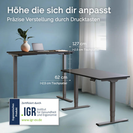 DESKSPACE PRO Plus augstumā regulējams pelēks rāmis | Galda rāmis ar divu motoru regulējamu augstumu | Elektriskais galda rāmis ar atmiņas funkciju