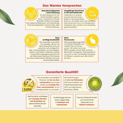 Holīns un inozitols - 90 tabletes - augsta deva un vegānisks - ar holīna bitartrātu | Warnke Vitalstoffe - Vācijas aptieku kvalitāte