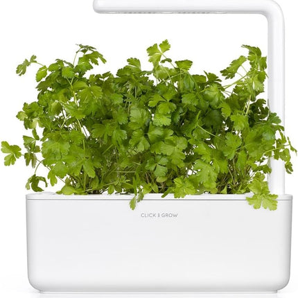 Click and Grow pētersīļu augu pāksšu uzpildes iepakojums substrāta kapsulai augu kapsulas Smart Garden iekštelpu dārzam 3 kapsulas