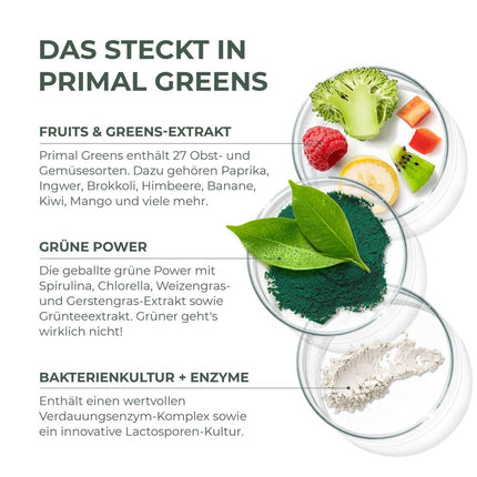 Primal Harvest Super Greens pulveris ar 27 augu savienojumiem, tostarp spirulīnu un kviešu dīgstiem, 30 porcijas
