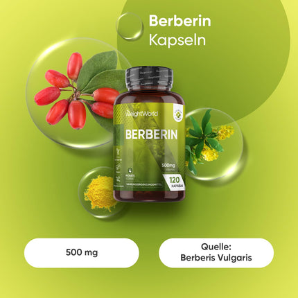 Berberīns 500 mg — 4 mēnešu krājumi — 120 vegānas berberīna kapsulas — 1 kapsula dienā — bez magnija stearāta — By WeightWorld
