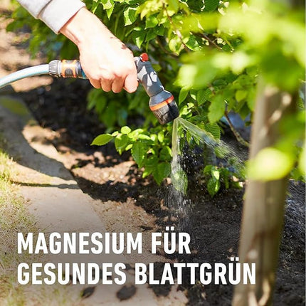COMPO Hedge Turbo - spēcīgs īpašs mēslojums dzīvžogiem un jauniem stādījumiem - dzīvžogu mēslojums ātrai augšanai - 4 kg, zaļš -