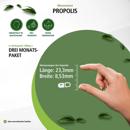 Fairvital | Bišu propoliss 500 mg - 3 x 60 kapsulas - AUGSTA DEVA