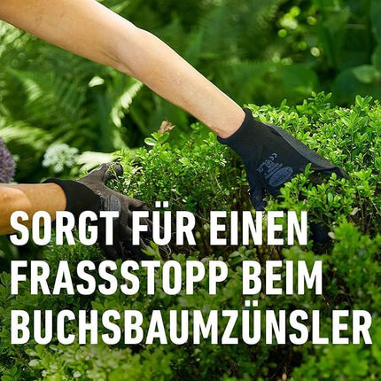 Compost Box koku kodēm KO 50ml