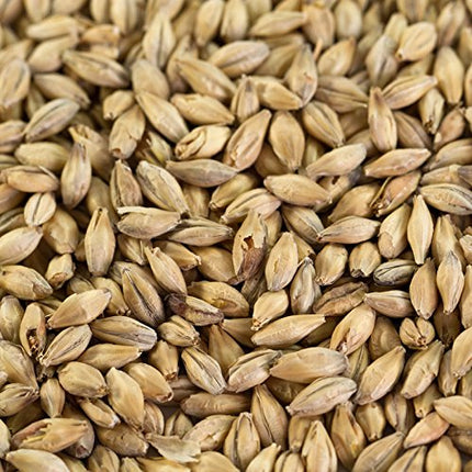 1 kg gaišā eila iesala lageriem un eiliem EBC 5,5–7,5