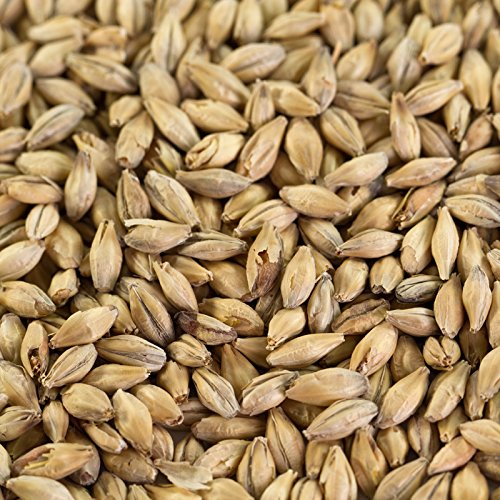 1 kg gaišā eila iesala lageriem un eiliem EBC 5,5–7,5