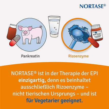 Nortase kapsulas