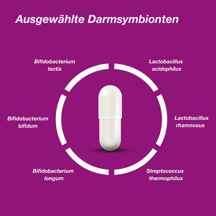 Orthomol Pro 6 - ar atlasītu zarnu simbiontu un C vitamīna kombināciju, 30 dienas porcijas
