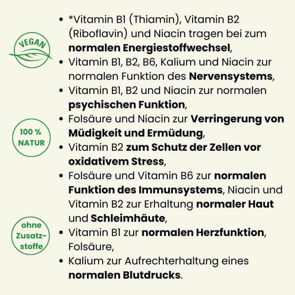 Panaktiv® - šķidrais alus raugs, 500 ml • B1, B12 vitamīns, folskābe, biotīns, B2, B6 vitamīns, niacīns, cinks • aktīvai vielmaiņai • skaistai ādai un matiem • tīrs dabīgs produkts