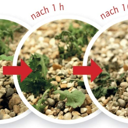 Roundup Weed Free Express, 1 litra smidzināšanas pudele, nezāļu iznīcinātājs, nezāļu, zāles un sūnu apkarošanai