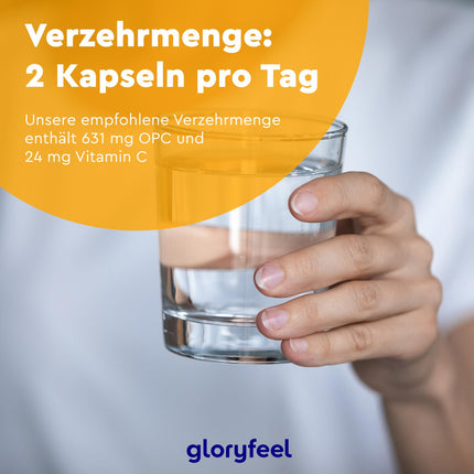 OPC vīnogu kauliņu ekstrakta kapsulas - 1052 mg ekstrakta PLUS C vitamīns vienā dienas devā - oriģinālās franču vīnogas - 180 vegānas tabletes - neatkarīgi pārbaudītas laboratorijā